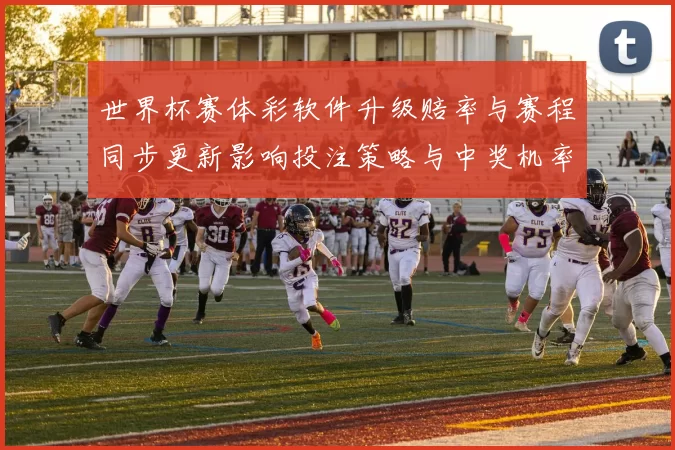 世界杯赛体彩软件升级赔率与赛程同步更新影响投注策略与中奖机率