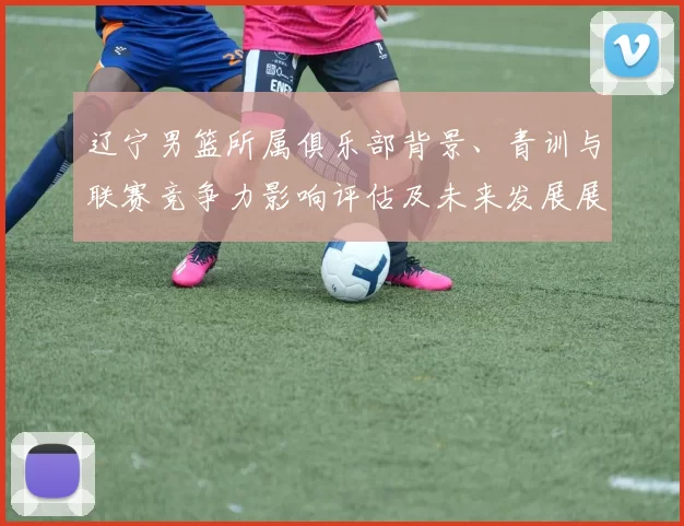 辽宁男篮所属俱乐部背景、青训与联赛竞争力影响评估及未来发展展望